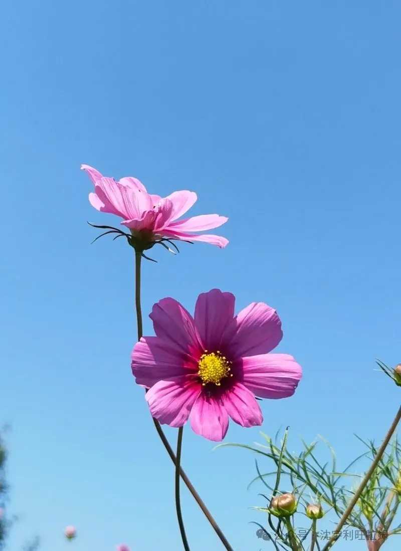剪贴板01.jpg