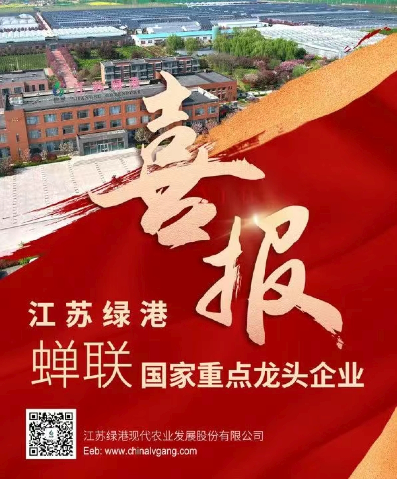 剪贴板01.jpg